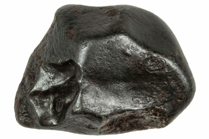 Fusion Crusted Sikhote-Alin Iron Meteorite ( g) - Russia #333106